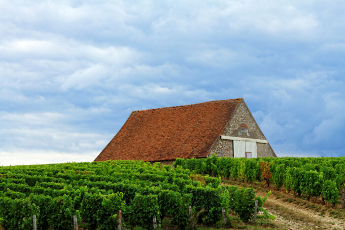 Cabane de vigneron