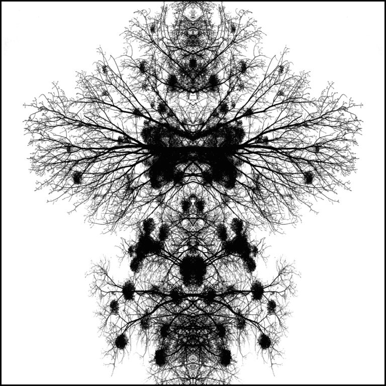 Arbôraistêsis’s project.