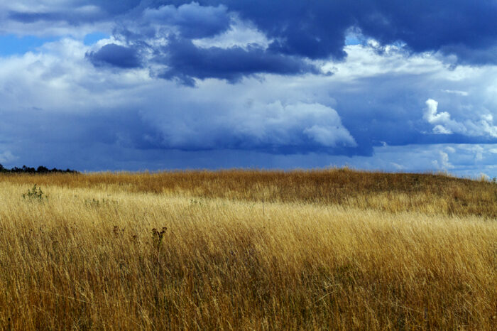 Champ et ciel