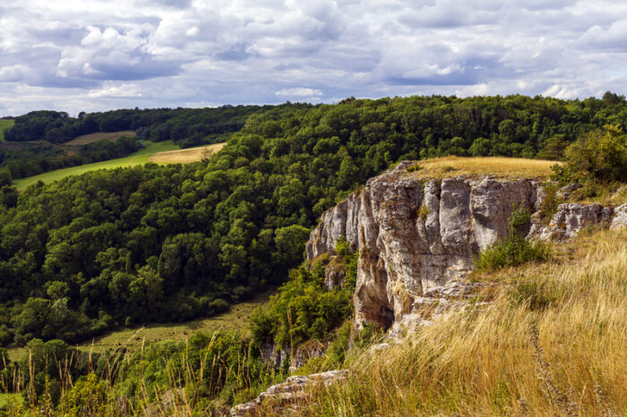 Falaise