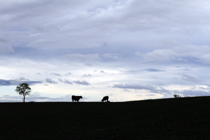 Bourgogne Franche Comté