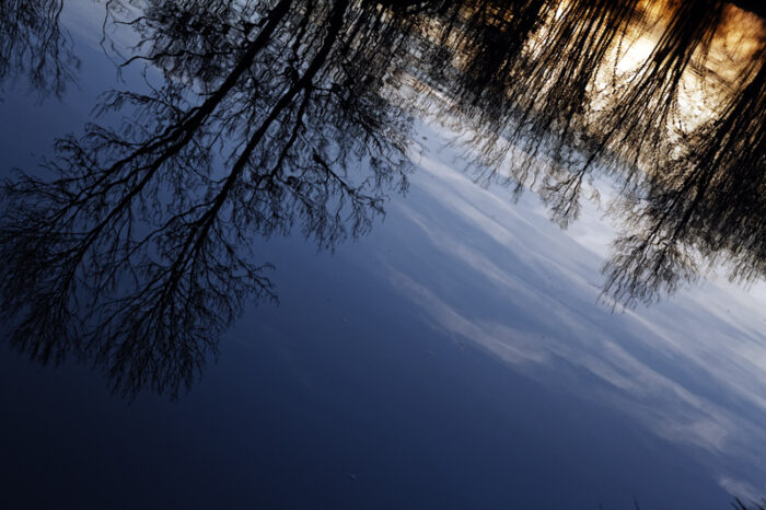 Reflet